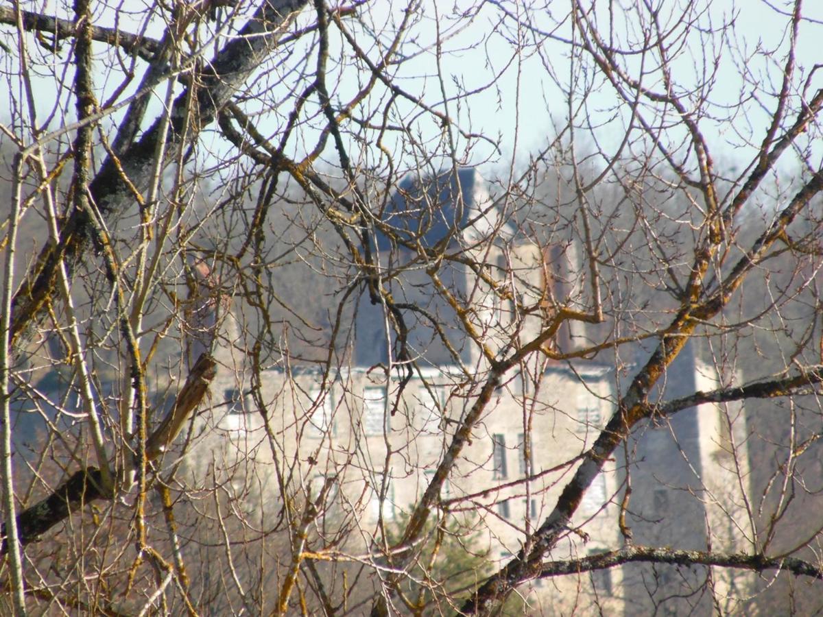 Gite Et Chambres D'Hotes Les Terrasses De Gaumier Gaumiers Εξωτερικό φωτογραφία